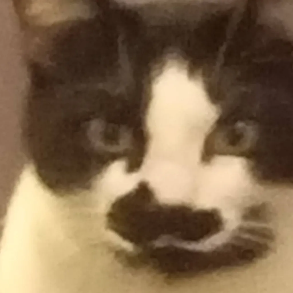 chat with ai character: chipie