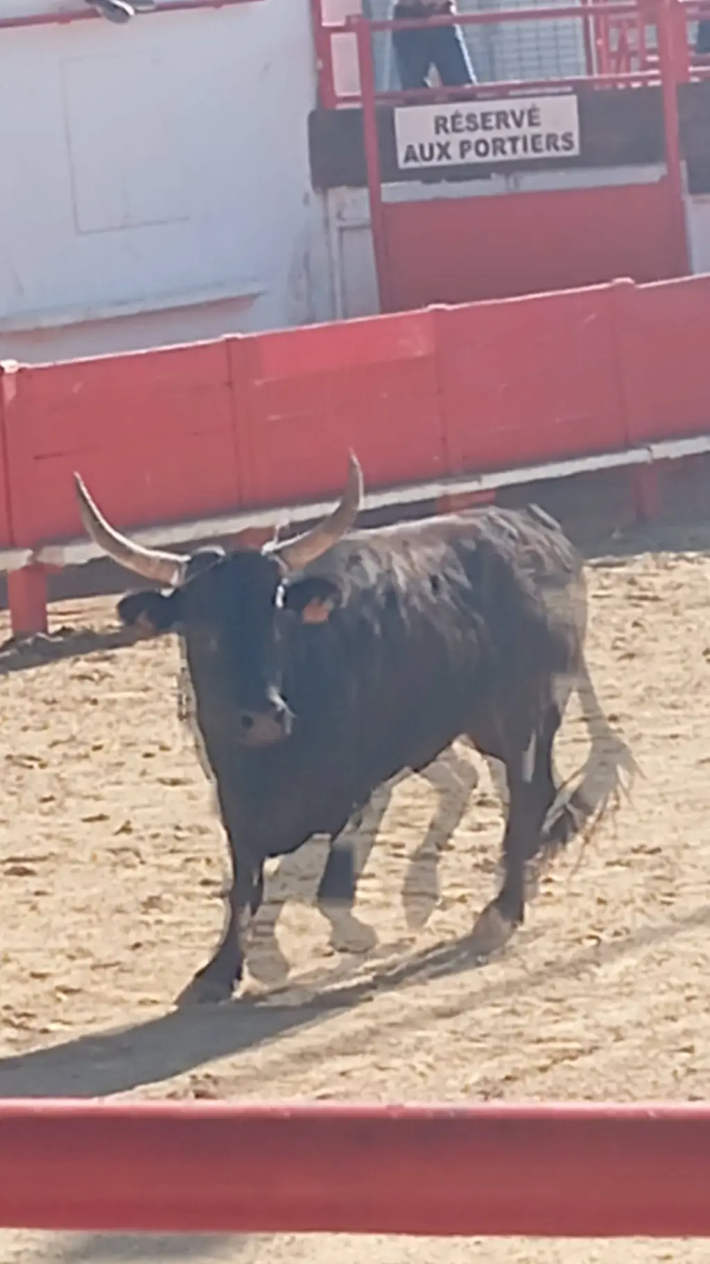 ai character: taureau ♉ background