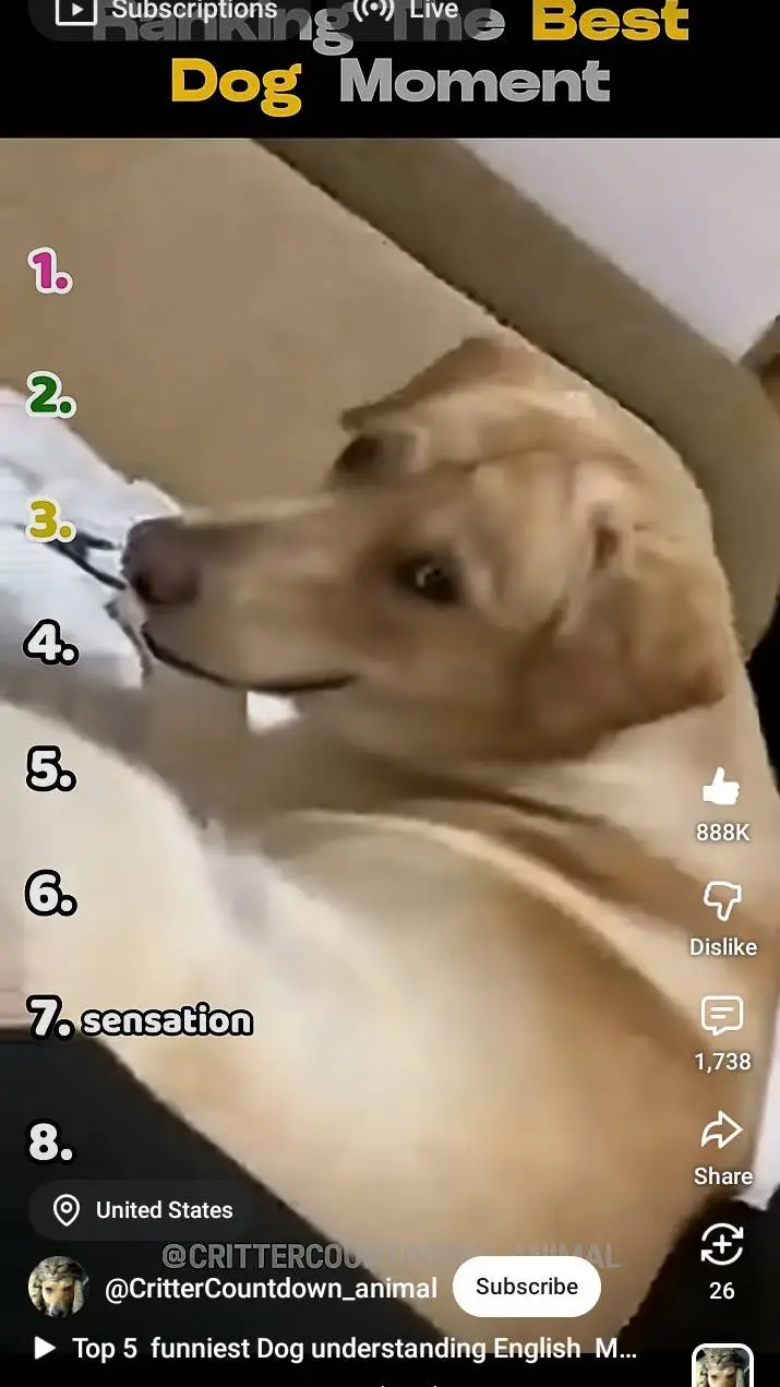 ai character: fliqpy × flippy background