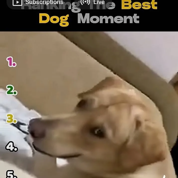 chat with ai character: fliqpy × flippy