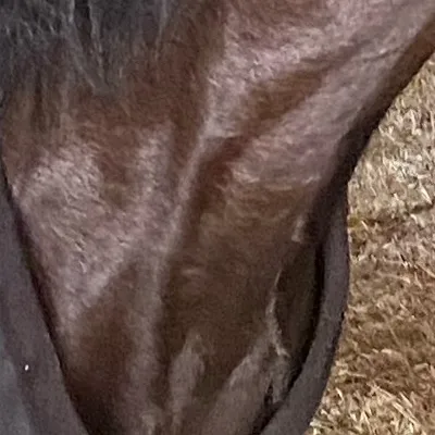 chat with ai character: ☆Riana★