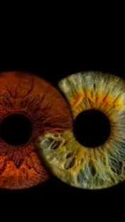 ai character: Mha horreur background