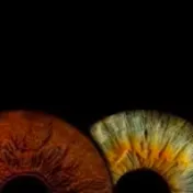 chat with ai character: Mha horreur