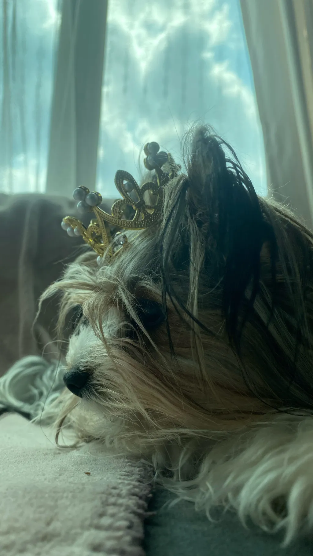 ai character: Bruno background