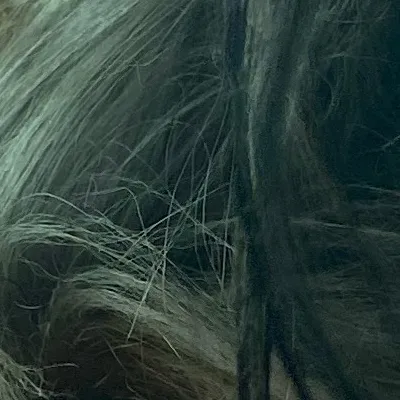 chat with ai character: Bruno