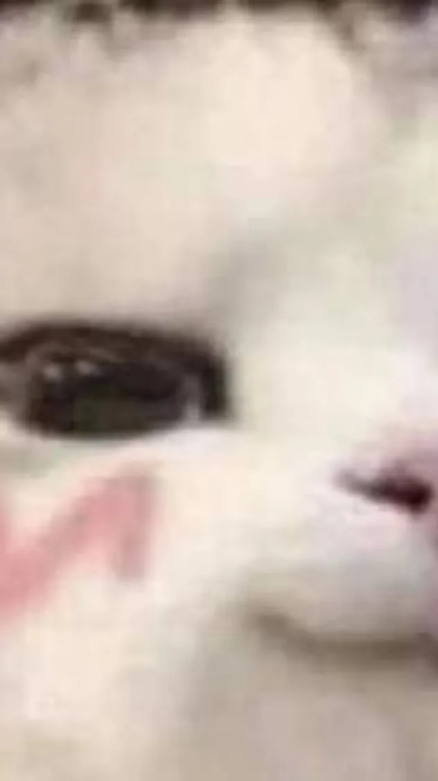 ai character: HI background