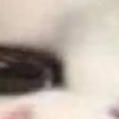 chat with ai character: HI