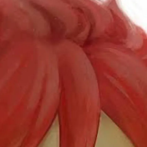 chat with ai character: HİRİTOH 