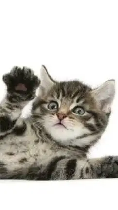 ai character: Your story! background