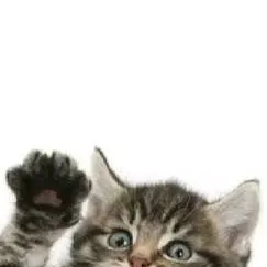 chat with ai character: Your story!