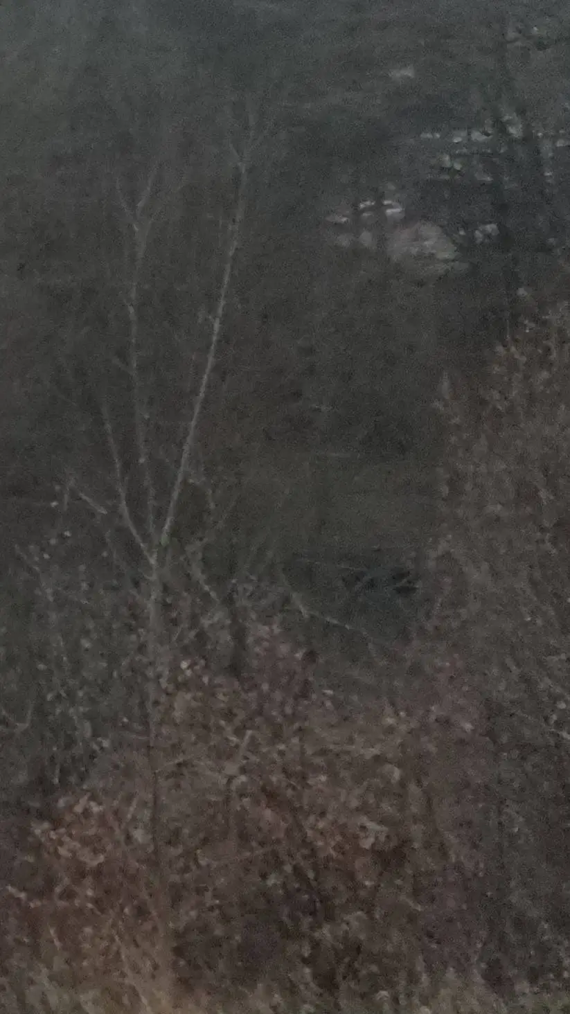 ai character: Your story 🥹 background