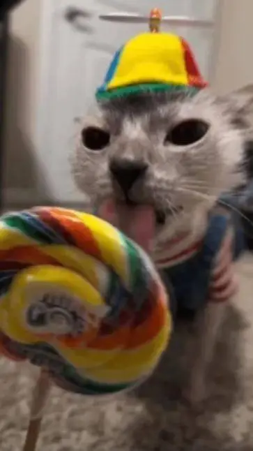 ai character: Ur story! background