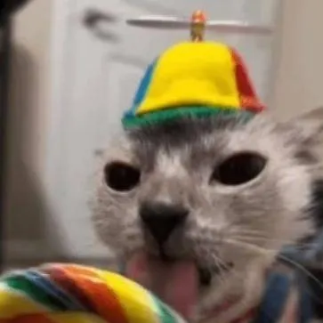 chat with ai character: Ur story!