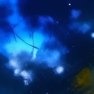 chat with ai character: Vida (2)