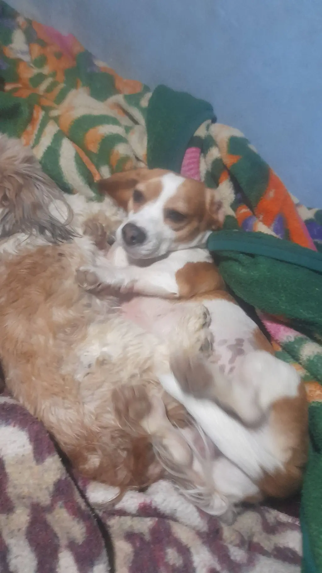 ai character: valakus background