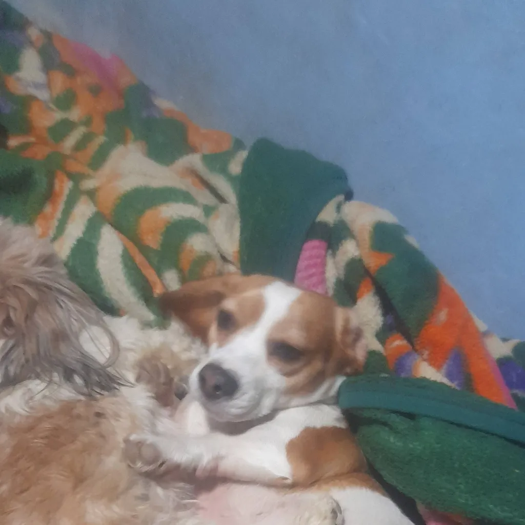 chat with ai character: valakus