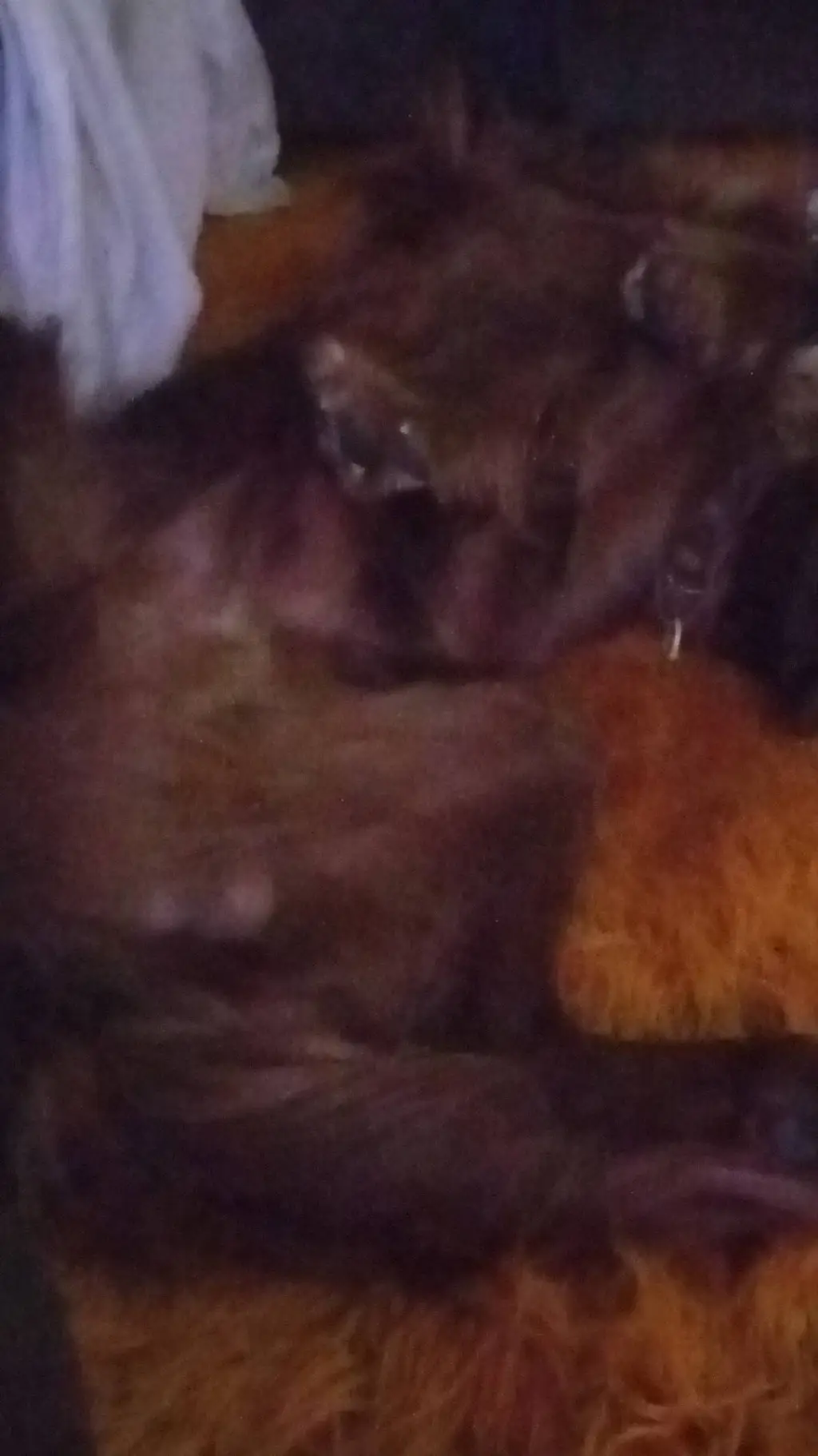 ai character: bek background