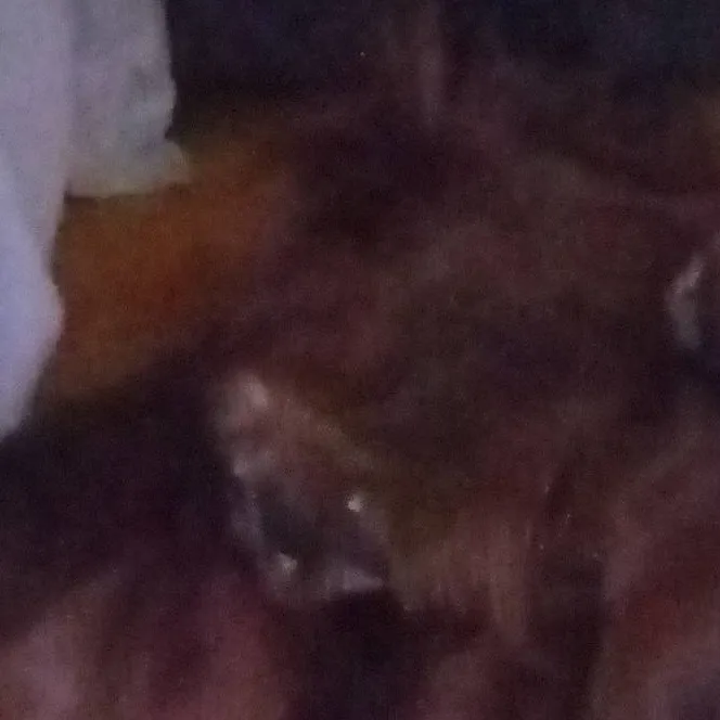 chat with ai character: bek