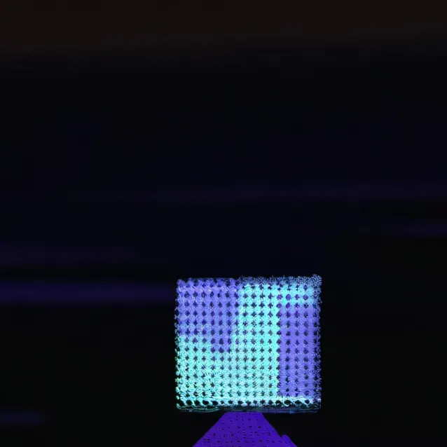 chat with ai character: PARTY SEEK