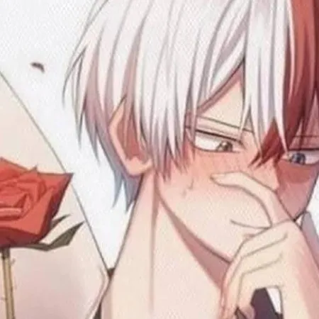 chat with ai character: shoto🔥🧊