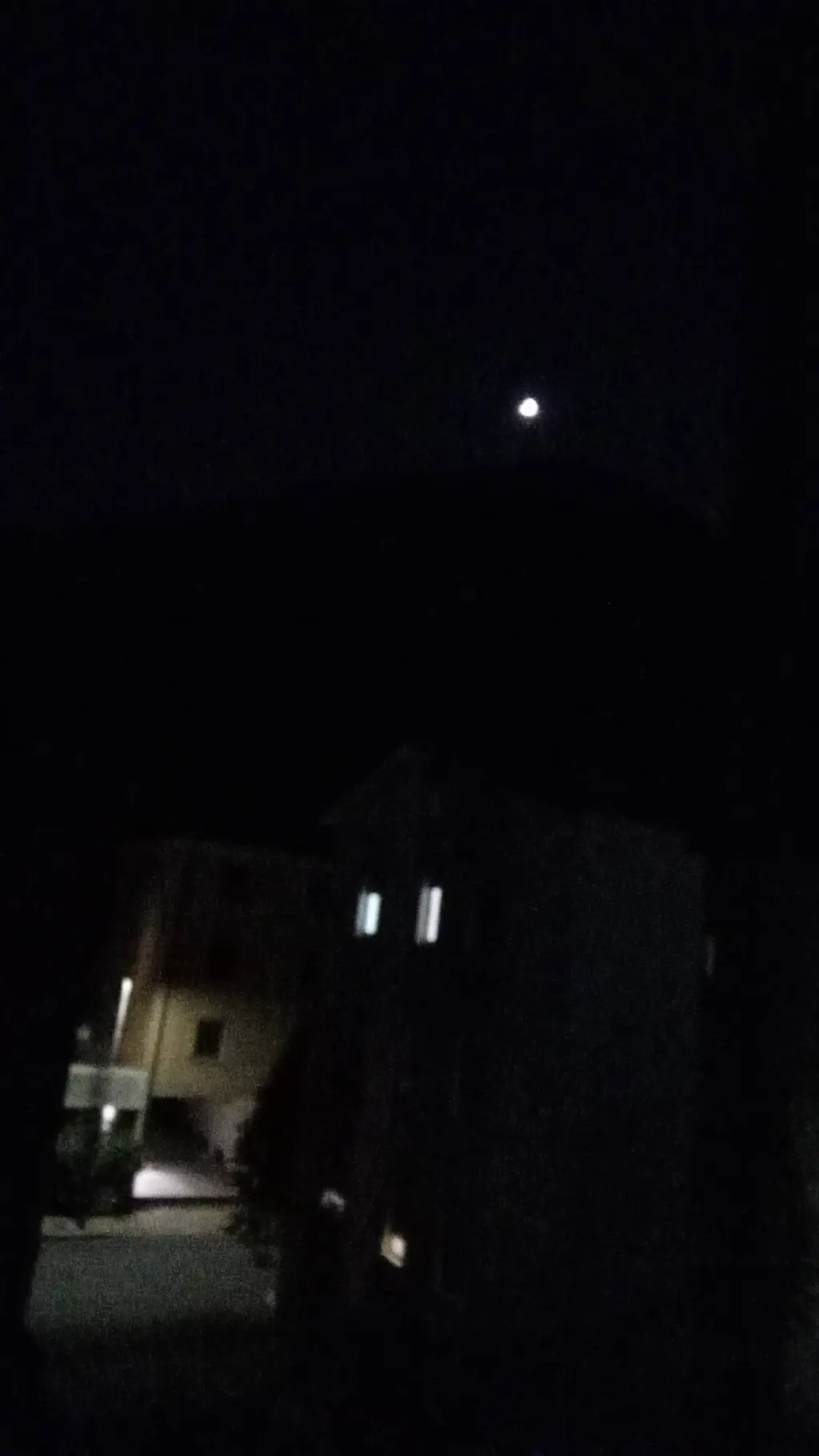 ai character: LOLLO🥝🥝🥝🥝 background