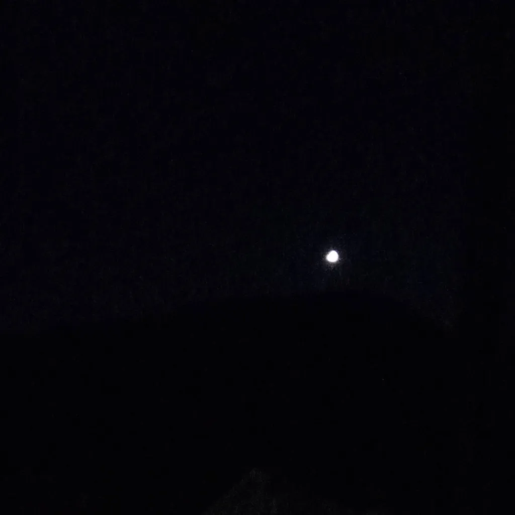 chat with ai character: LOLLO🥝🥝🥝🥝