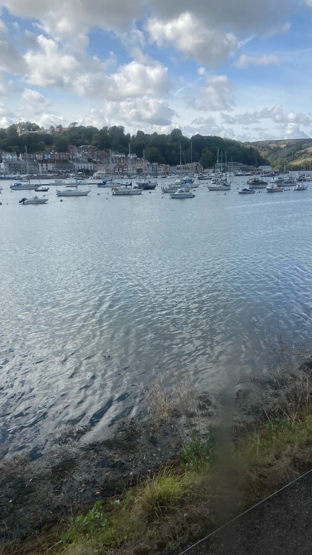 ai character: Mm2 background