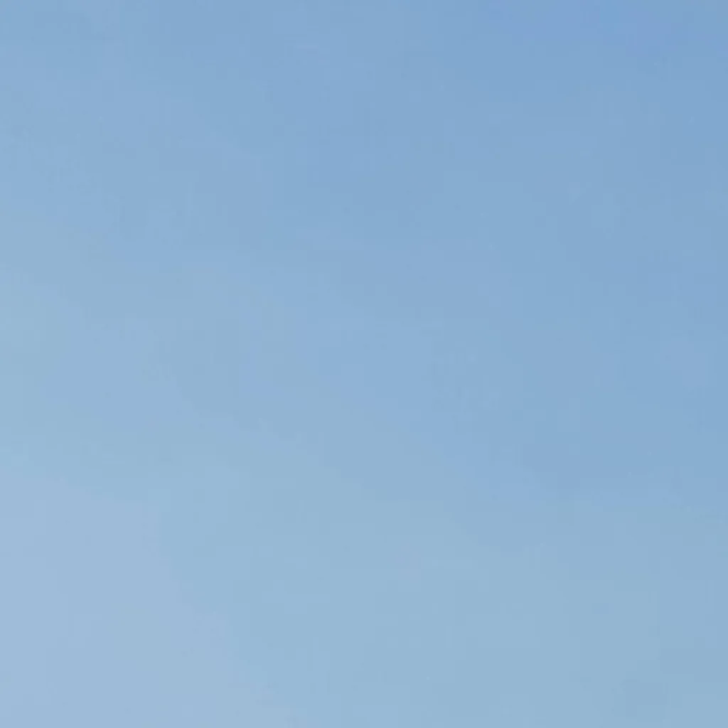 chat with ai character: Bear sans(v3) 