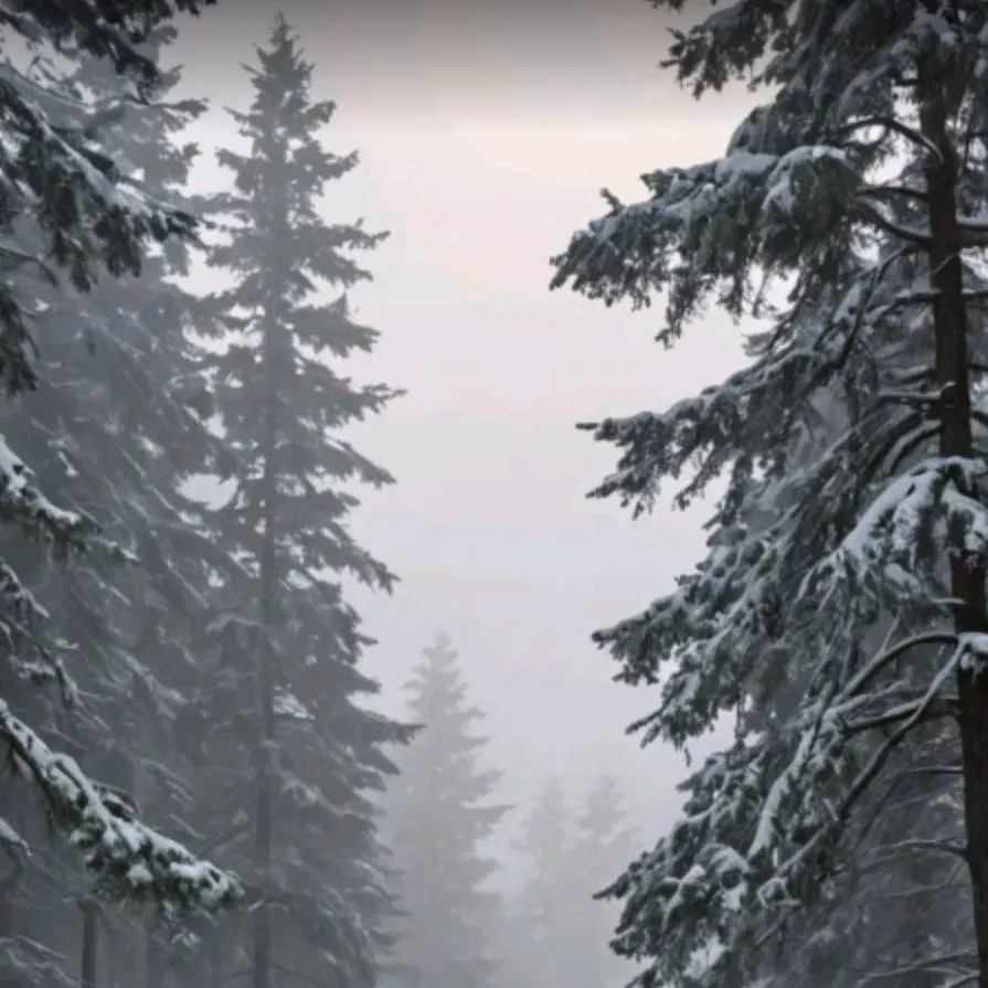 chat with ai character: Cod - Winter