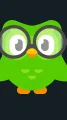 ai character: Duolingo background