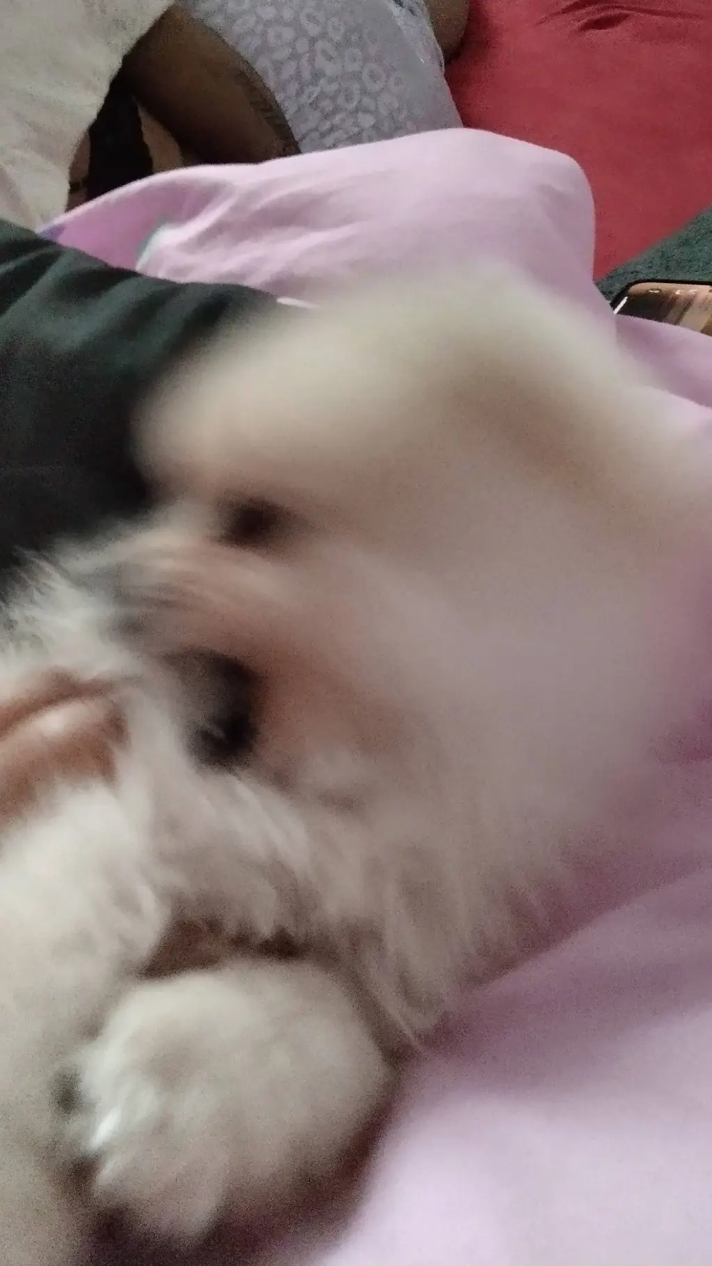 ai character: 💅🏻✨BTS WORLD✨💅🏻 background