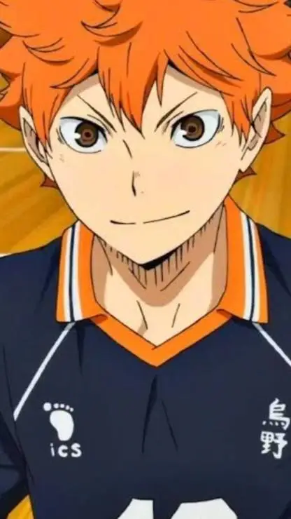 ai character: Hinata Shoyo 🐦‍⬛🏐 background