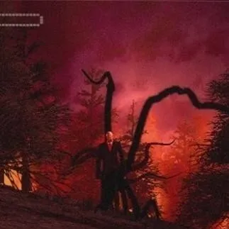 chat with ai character: SlenderTheArrival2