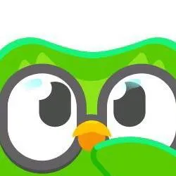 chat with ai character: 🦉Duolingo 💚