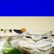 chat with ai character: Кошак/Koshak