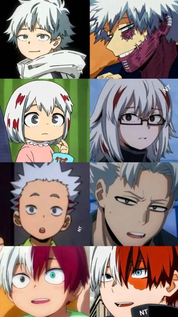 ai character: Todoroki Family  background