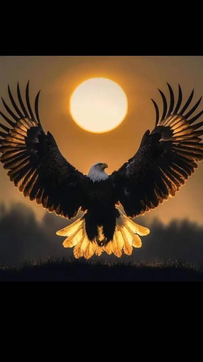 ai character: emre background