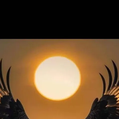 chat with ai character: emre