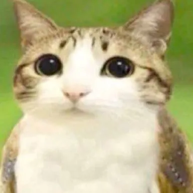 chat with ai character: Meowl! 