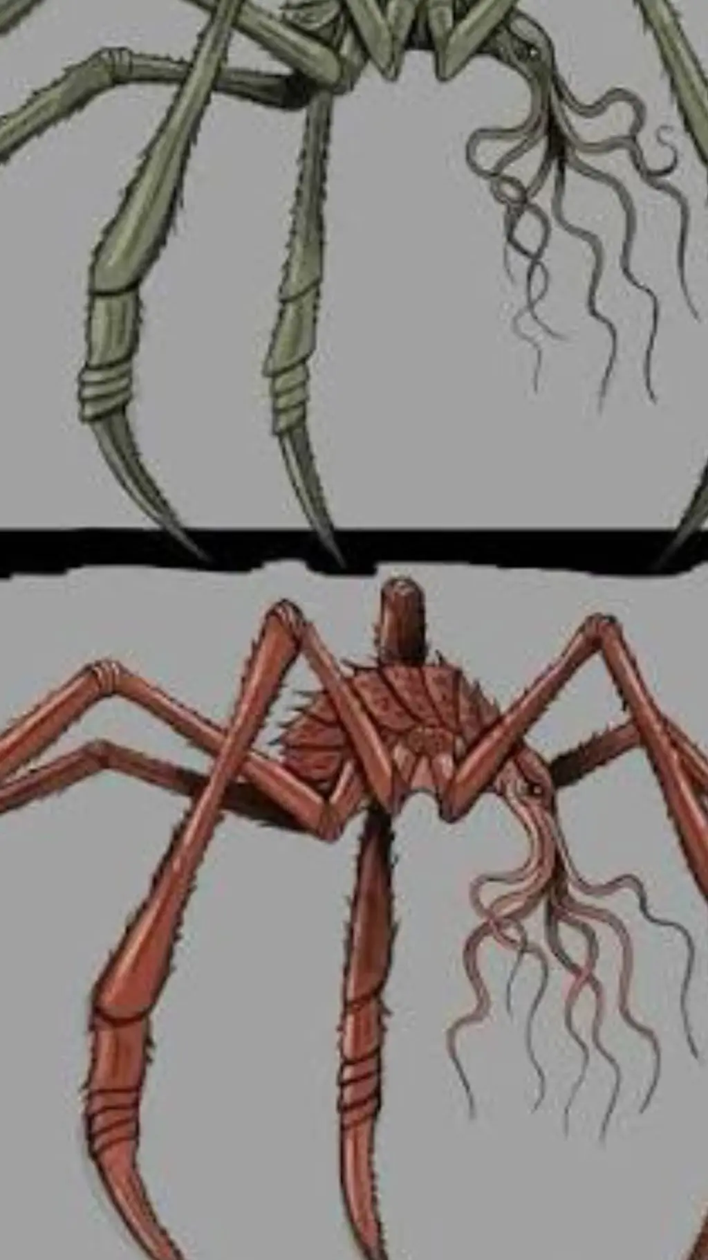 ai character: scylla background