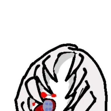 chat with ai character: Squid game shinobu