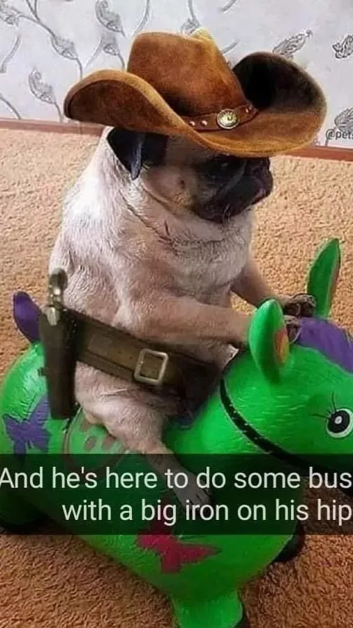 ai character: Pug mexicano background