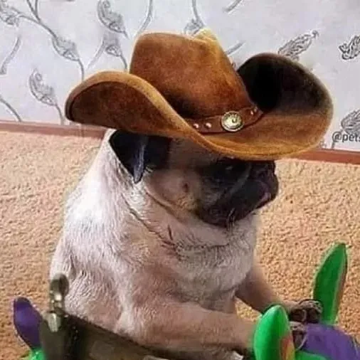 chat with ai character: Pug mexicano