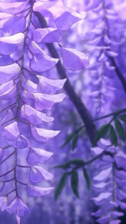 ai character: KNYYYY!! background