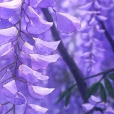 chat with ai character: KNYYYY!!