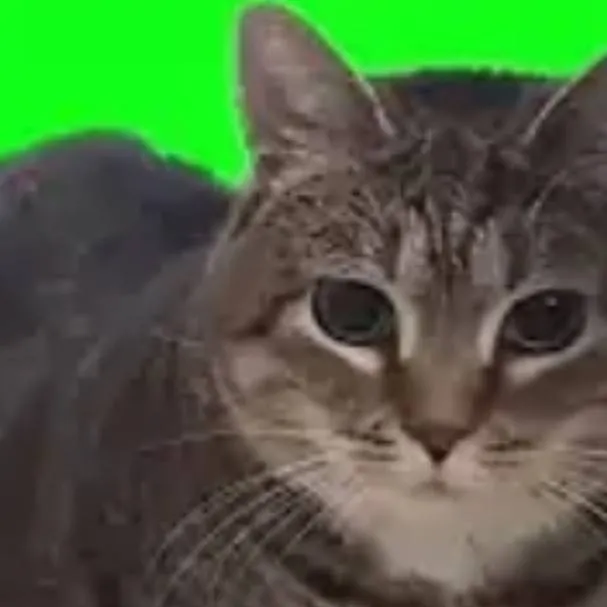 chat with ai character: oiia cat 