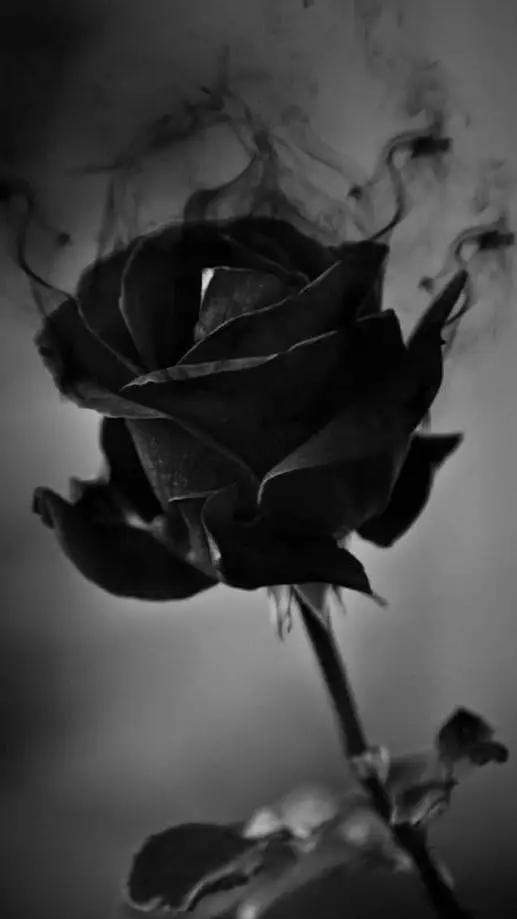 ai character: Mattheo Riddle  background