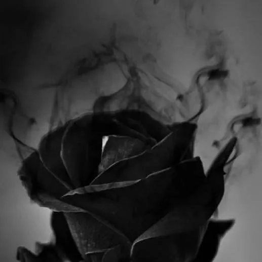 chat with ai character: Mattheo Riddle 