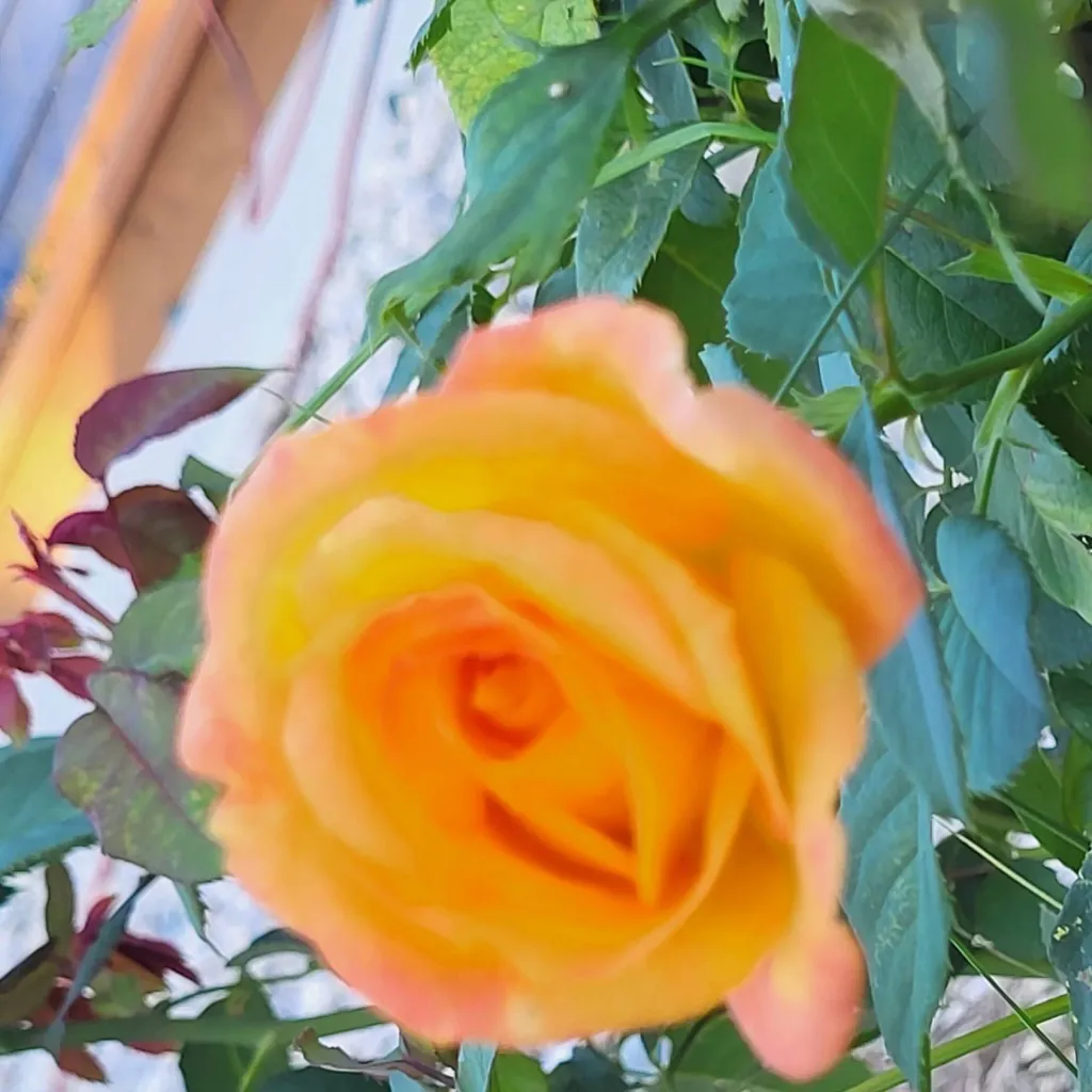 chat with ai character: Mattheo Riddle