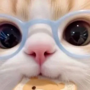 chat with ai character: Smart cat
